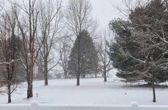 The Little Issues Publication #499 – Life, l...